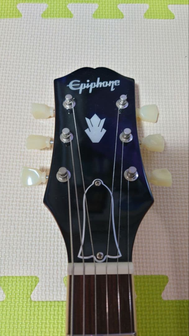 Ryo　　　Epiphone　ES-335 IG