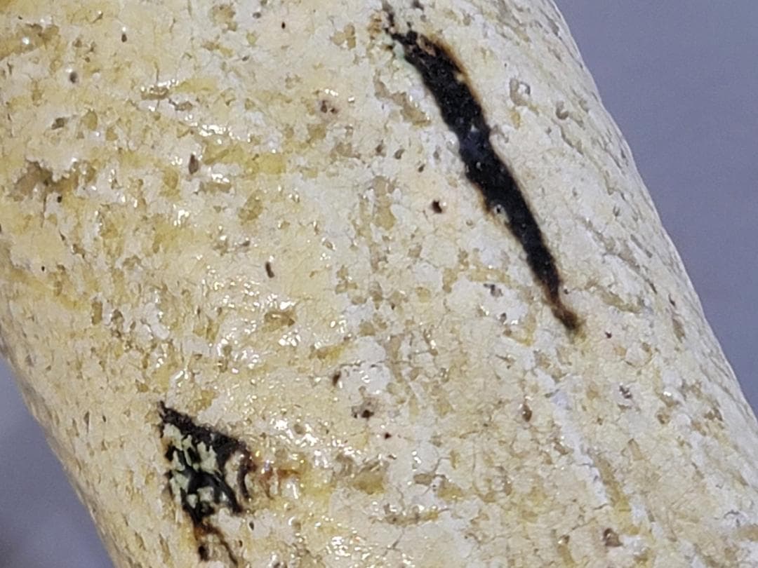 茶道具 黄瀬戸 砧 吊り花入 二代 小川長楽 共箱 美品 DT279