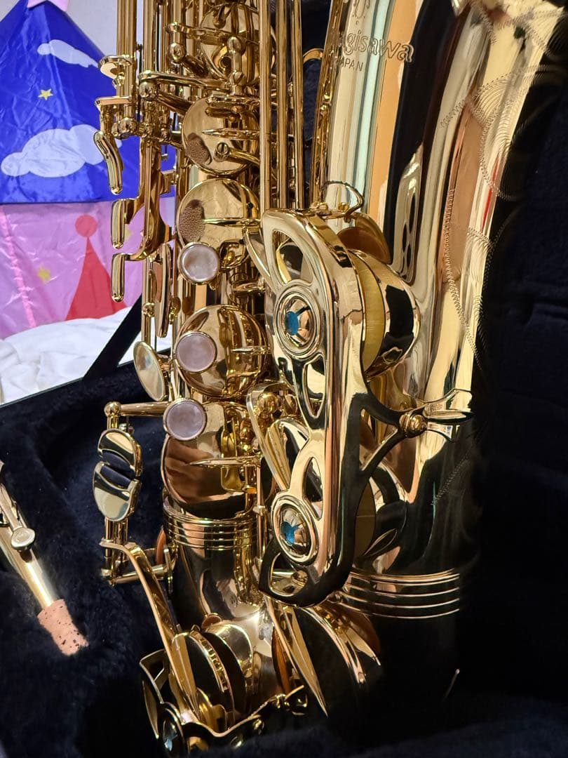 管楽器・吹奏楽器 YANAGISAWA a-wo1