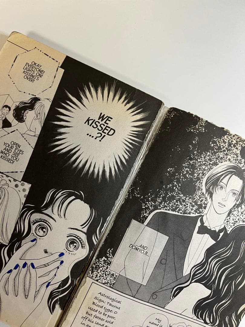 Boys Over Flowers 花より男子 英語版 1-12巻セット