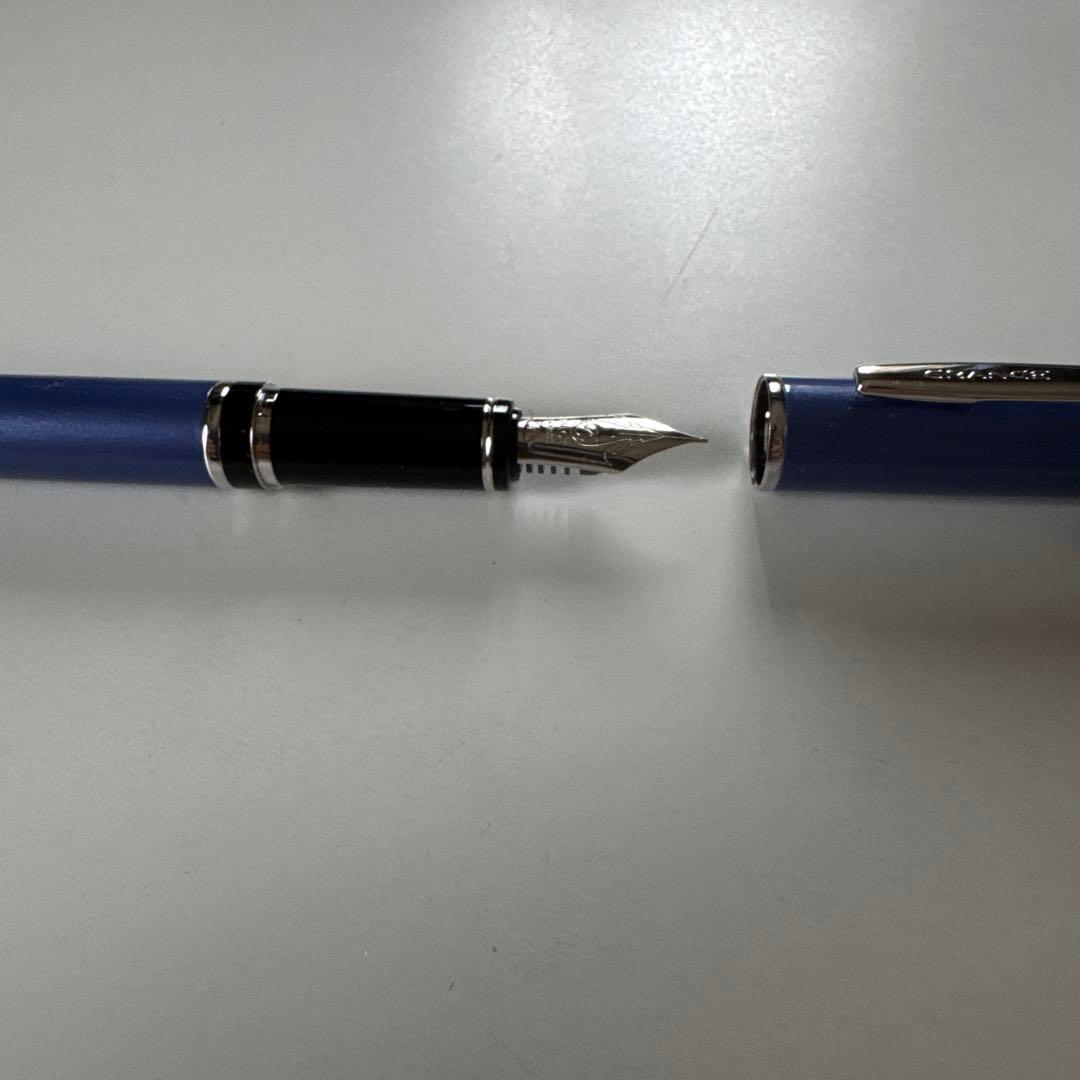 パイロット2010年限定万年筆Fニブ細字ボールペングランセあじさい