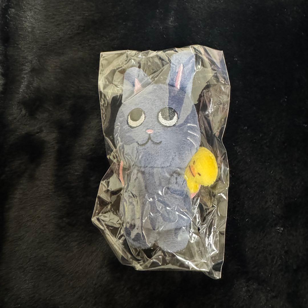 RIIZE ウォンビン トニャンドク ぬいぐるみ - メルカリ