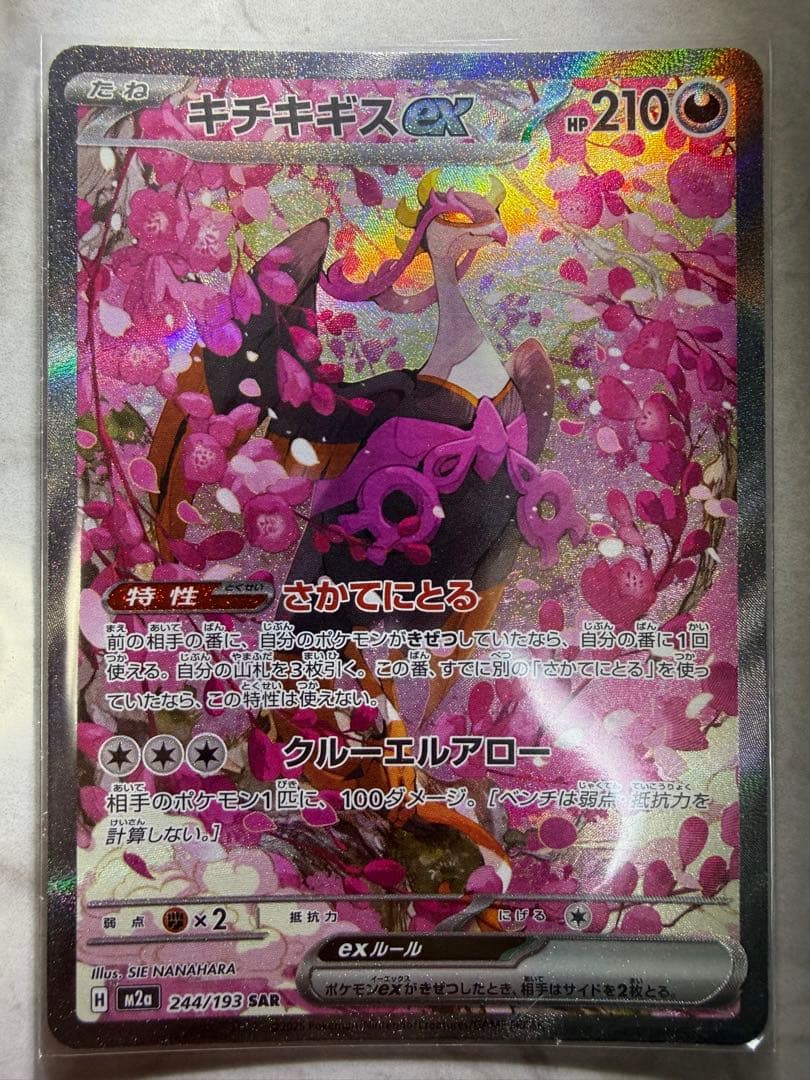 カナリィ SAR 248/193 メガドリーム