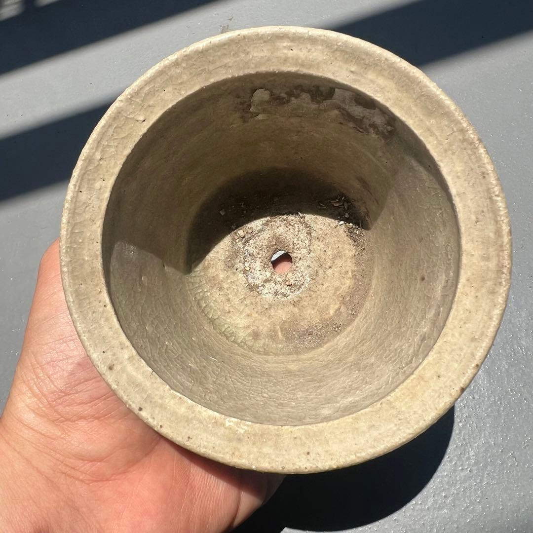 471.彫刻桜図白釉丸鉢 盆栽鉢 古鉢 植木鉢 11.1*7.3cm