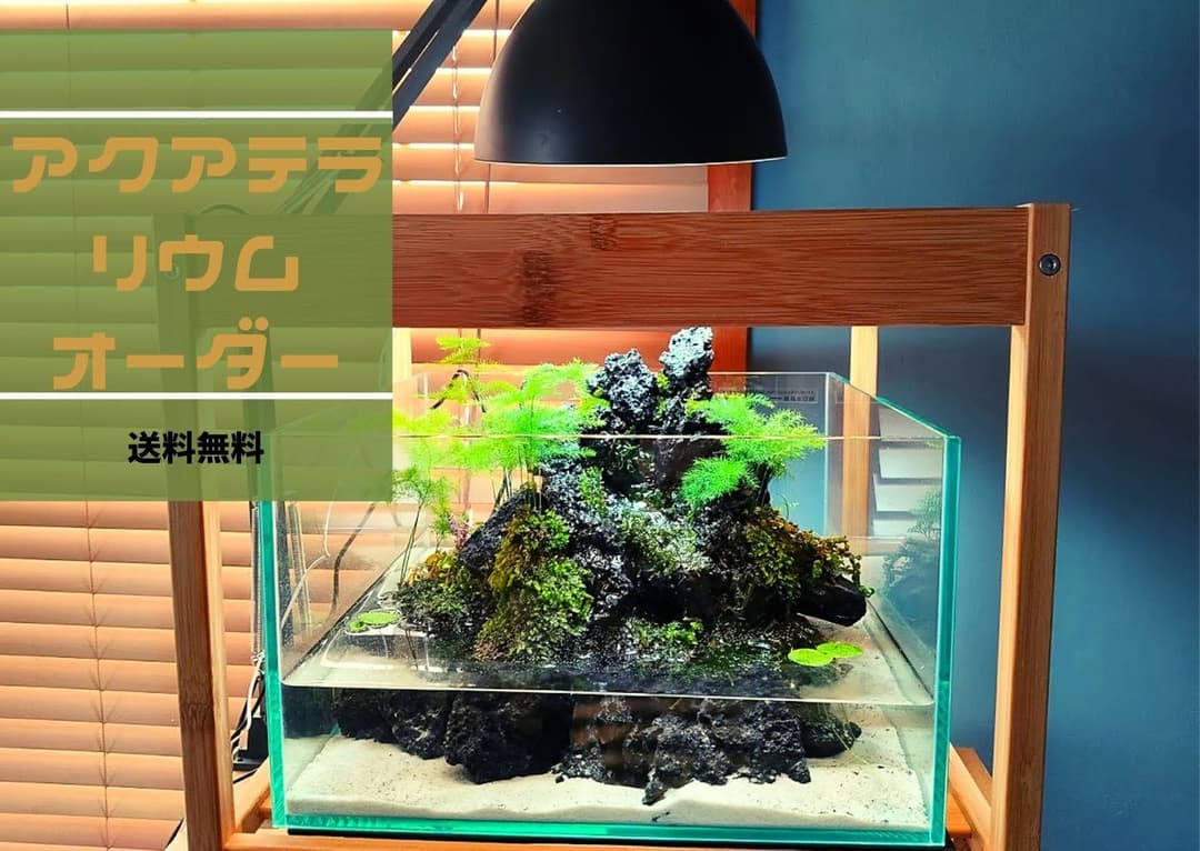 簡易オーダーメイド受付】アクアテラリウムレイアウト水槽
