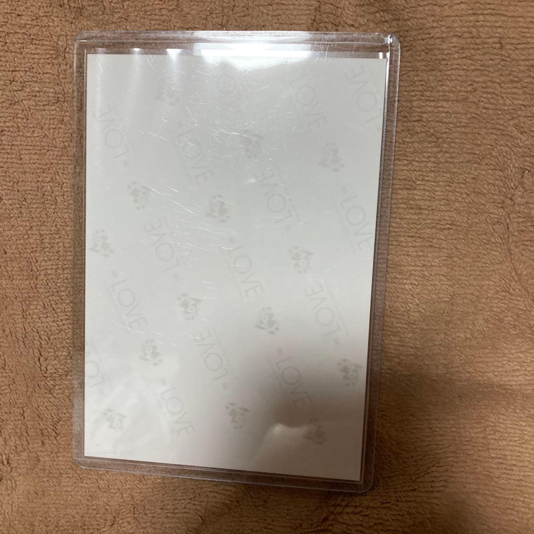 イコラブ　佐々木舞香　メンカラ衣装　アリーナツアー2024 生写真　ヨリ　直筆