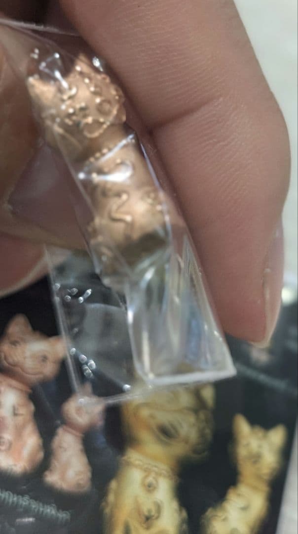 426ブロンズ！タイのお守りプラクルアン猫だキャット！取説付属！幸運&金運