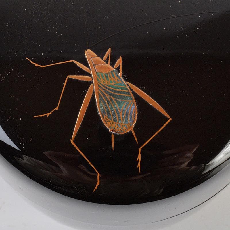 茶道具　啓雲作　螺鈿装飾　虫蒔絵　中棗　共箱　V　6640