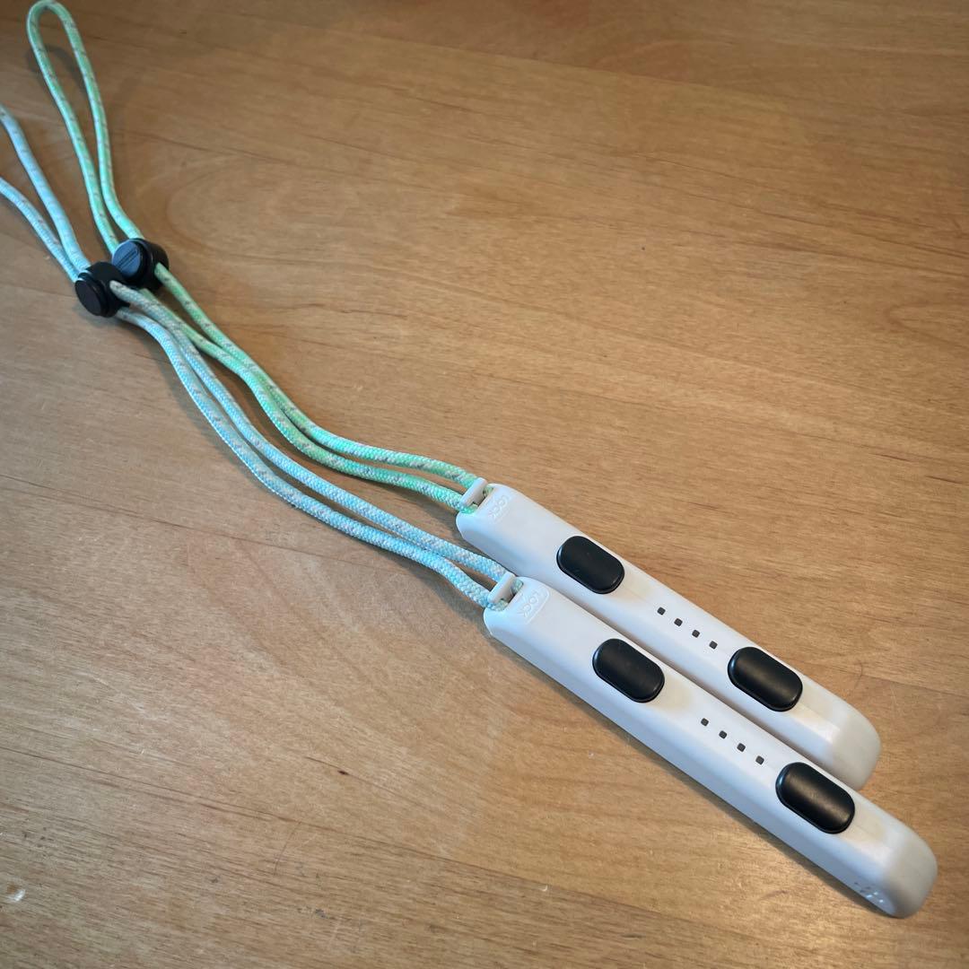 Nintendo Switch あつまれ どうぶつの森デザイン 本体➕おまけ