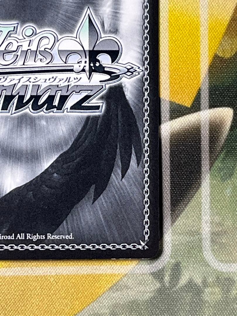 猫に魅せられた少女　羽川翼