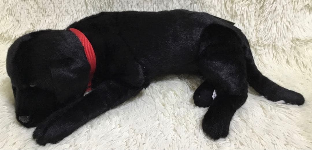 希少◆新品 DITZ ディッツ DitzDesing ハルモニア 犬 ぬいぐるみ