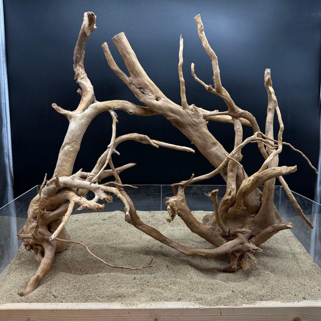 MDW-7122 特大ブランチウッド2本セット　流木　枝流木　アクアリウム