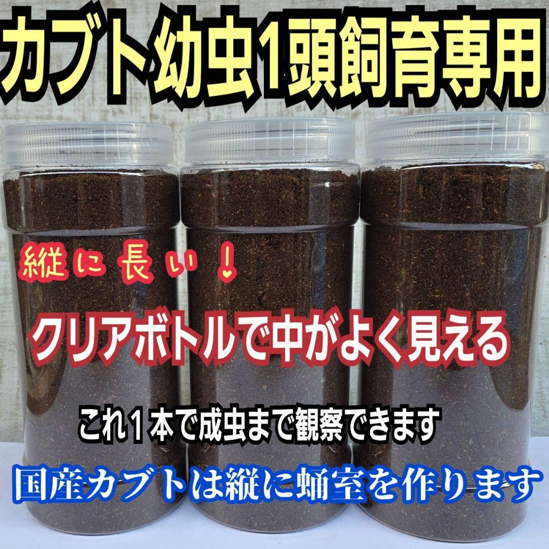発酵マット入り！国産カブトムシ幼虫1頭飼育専用縦長クリアボト【30本