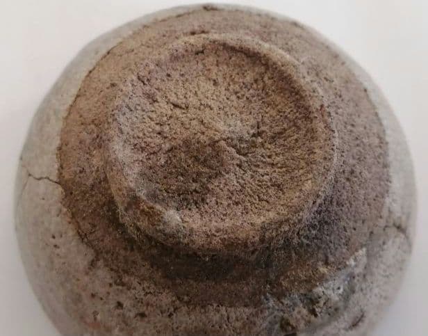 古唐津　岸岳皿屋窯　ぐい呑み