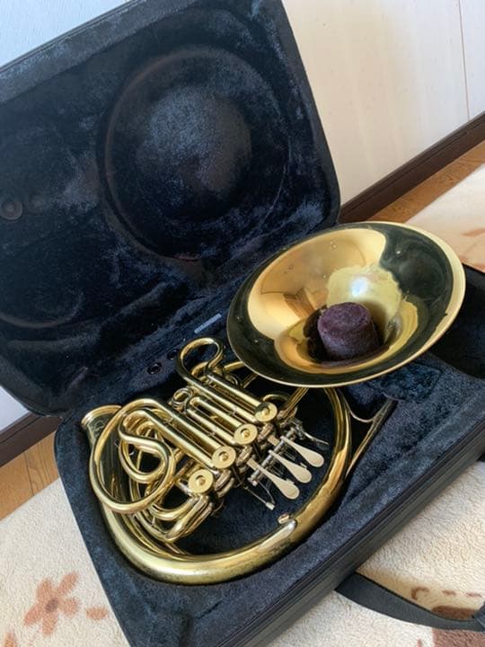 ホルンハンスホイヤーハードケース