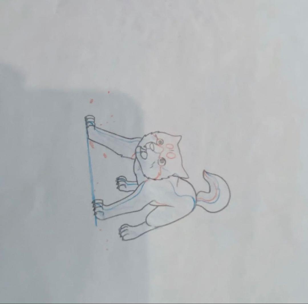 犬キャラクタークリアファイル4枚セット