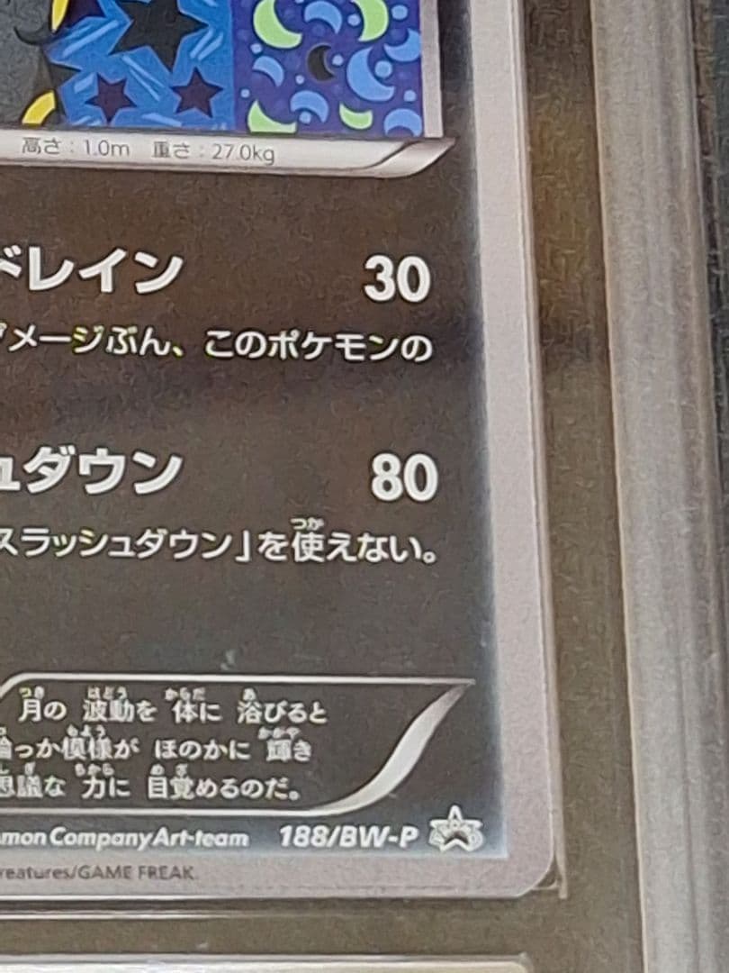 ARS8 ブラッキー イーブイコレクション ファイル プロモ ブイズ