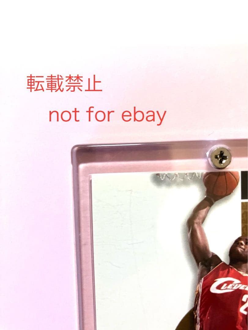 UD inspirations Lebron James RC 499枚限定