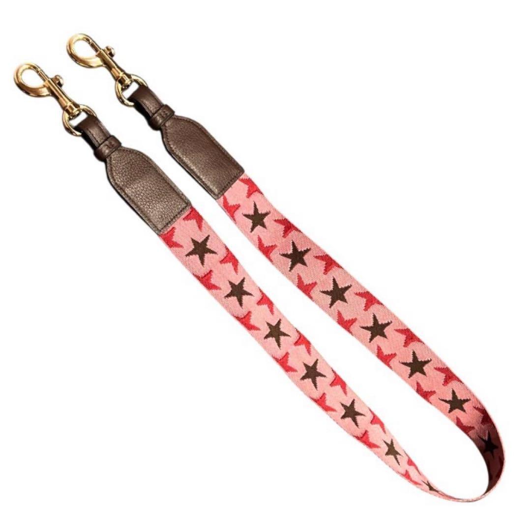 Seiko様 極美品✨コーチ ショルダーバッグ ピンク レザー 4521収納抜群