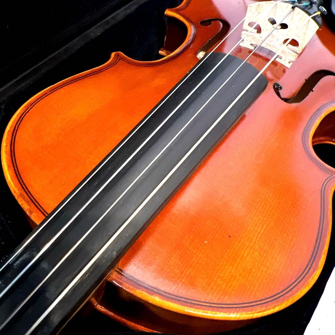 【良品】Andreas Eastman VL80 1/4 2021年製