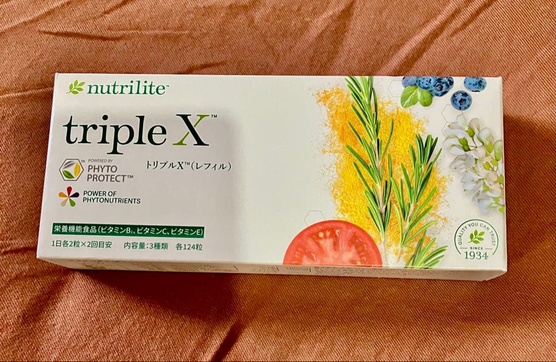 蝶の標本 熱帯ジャングルを舞う宝石(特珍A)