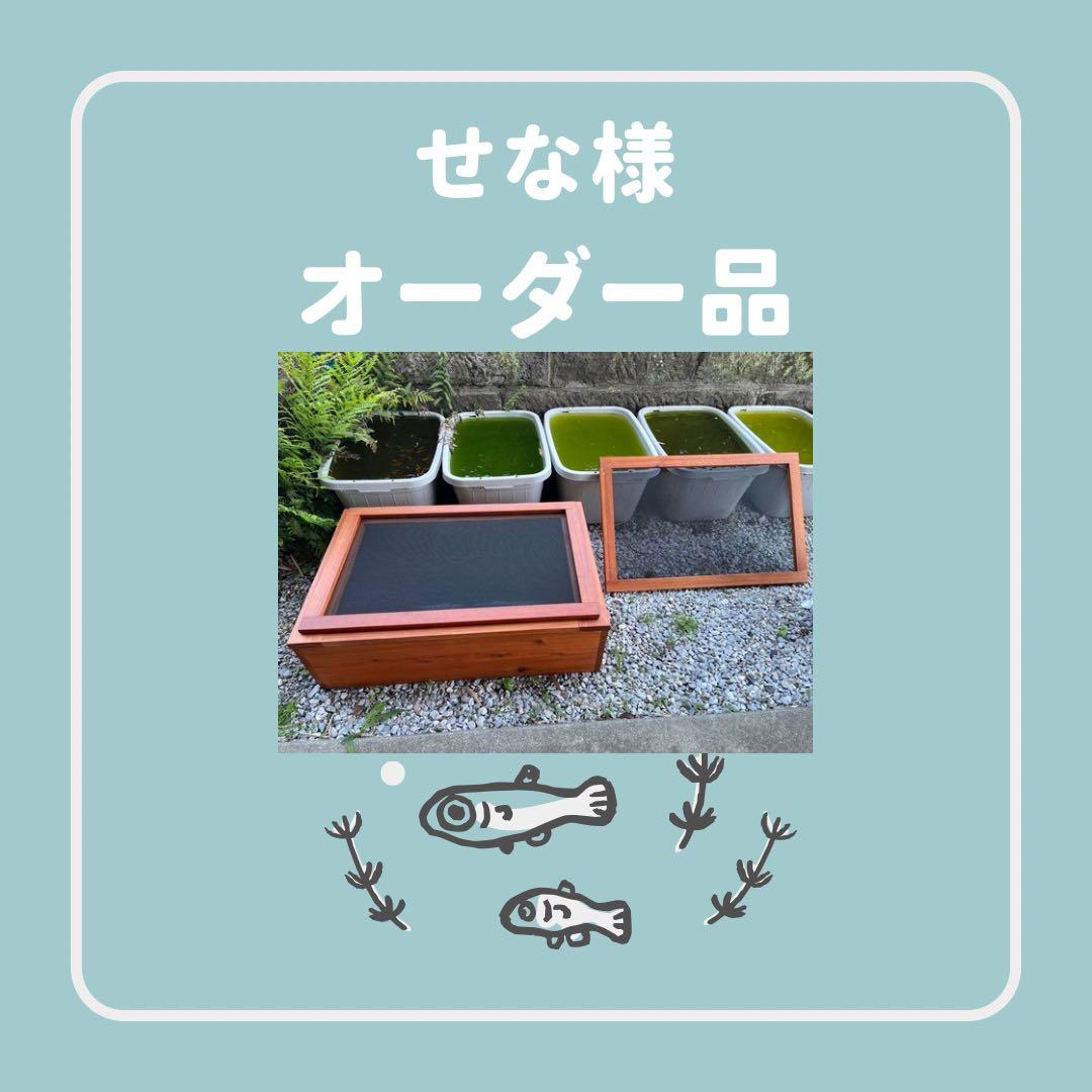 nv13 ボックス＋木枠 ビオトープ メダカ 新作 NV13BOX専用 横見木枠