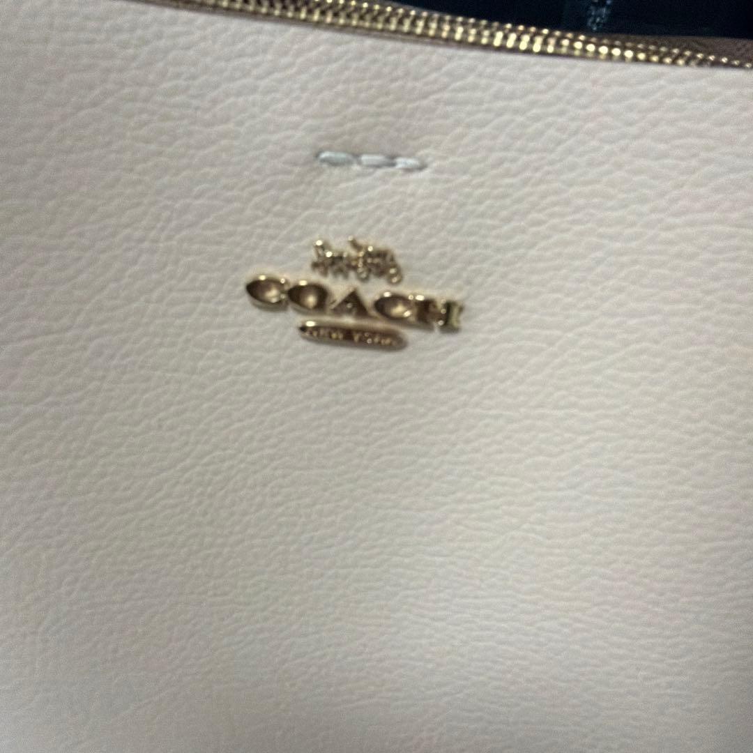 コーチcoach♡バケツバッグ2way パイソン　スモールタウンバケット