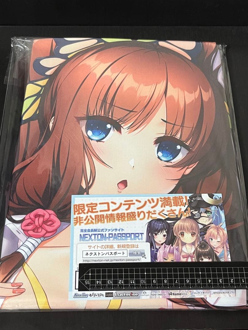 karory先生作品 夏音・サンタビキニ B1ブランケット