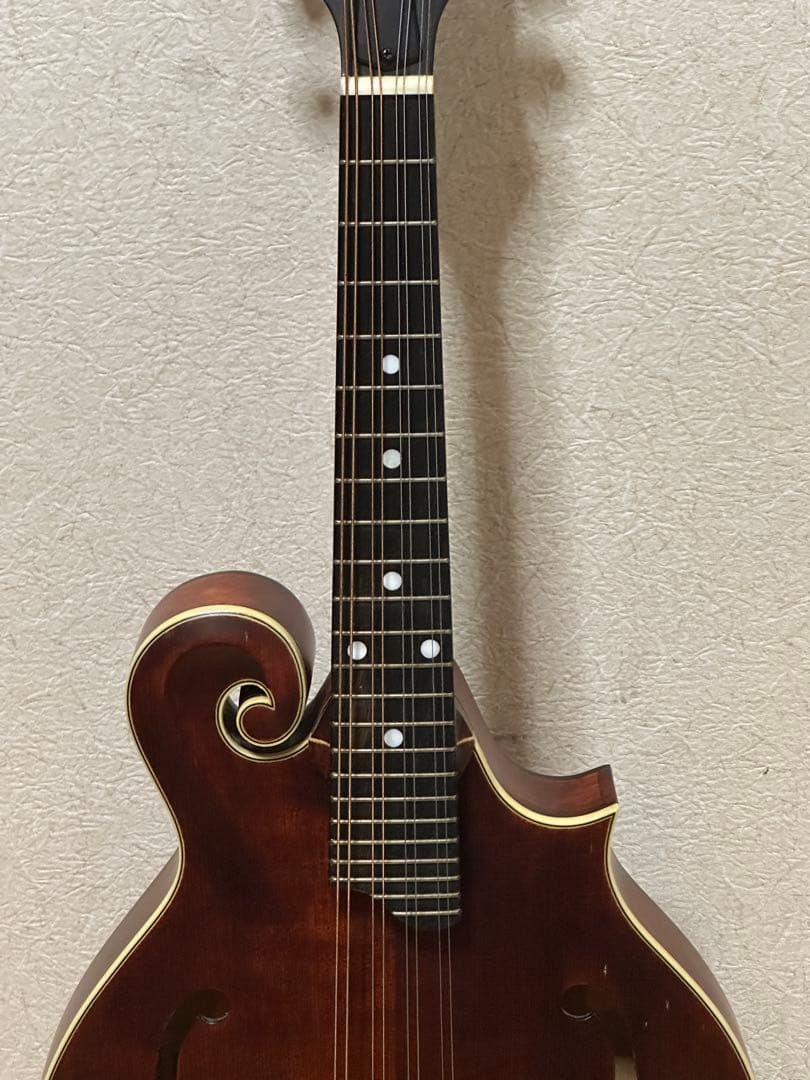 Eastman MD315/Antique Red 弦楽器