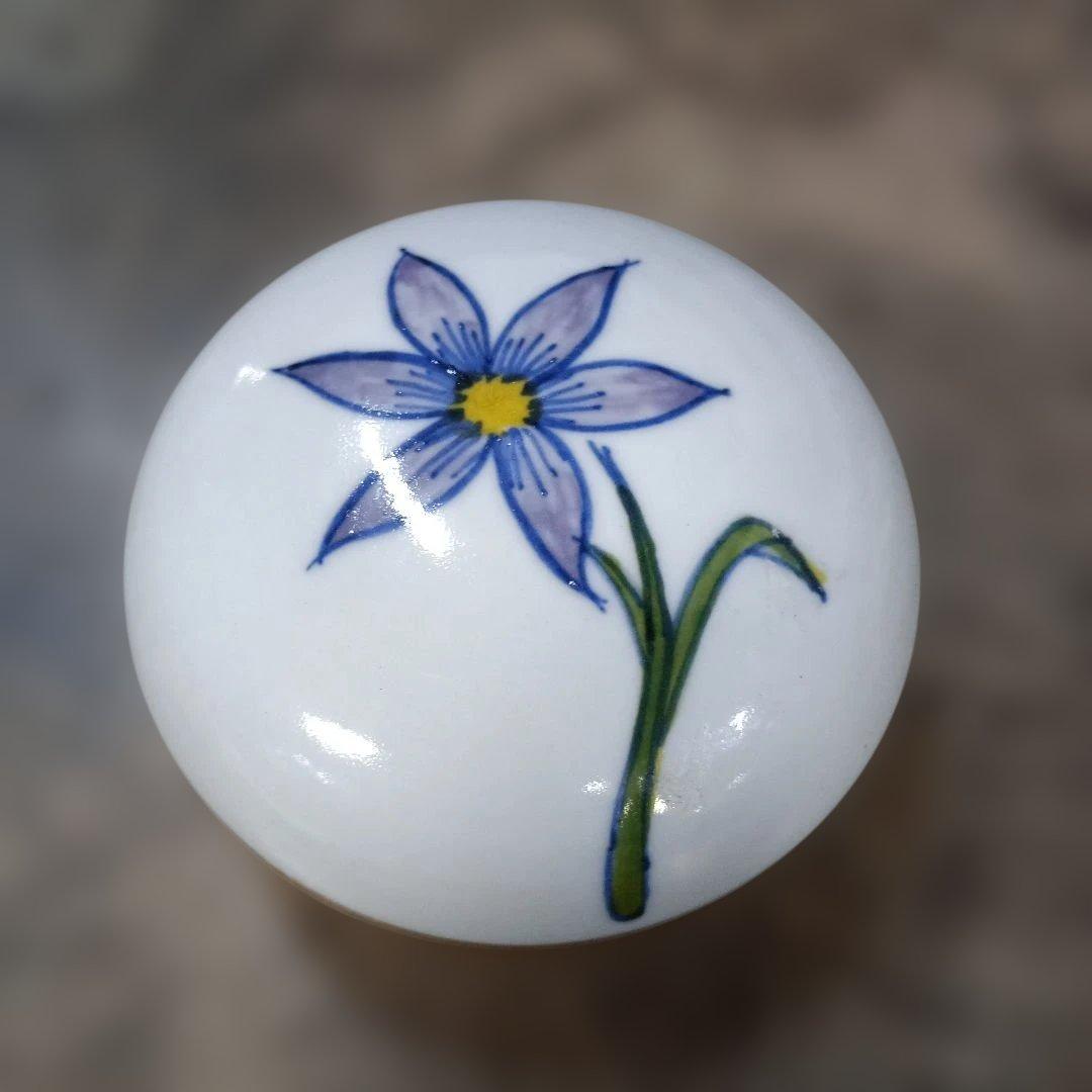 4567）高島慎一作　香合？・小物入れ・蓋物　ニワセキショウ