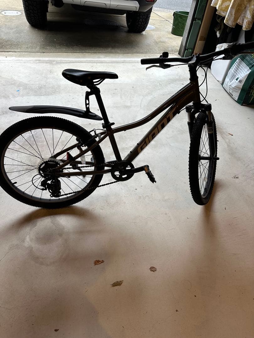 ジャイアント　xtc 24