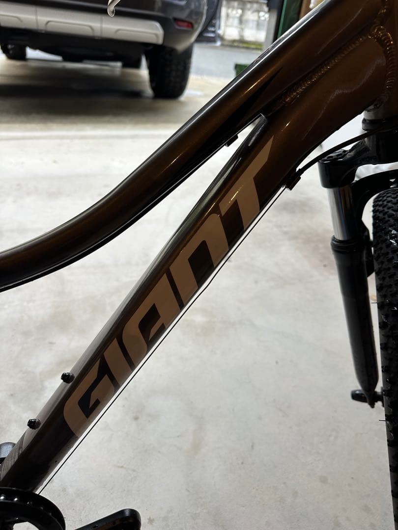 ジャイアント　xtc 24