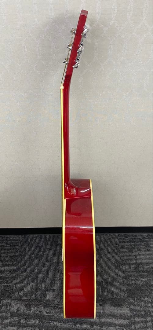 ✴️即購入不可 ハミングバードMaison H-22/CS ソフトケース 付属品付