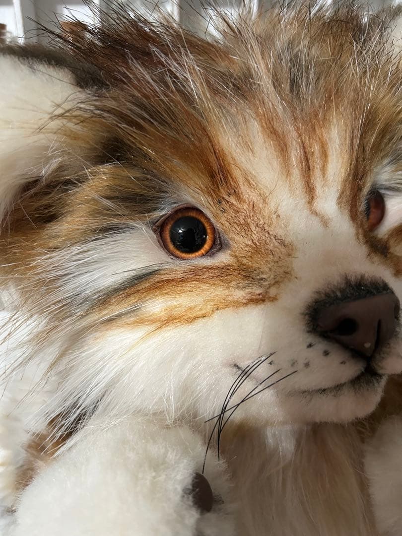 海外作家様 ぬいぐるみ テディベア アートドール たぬき