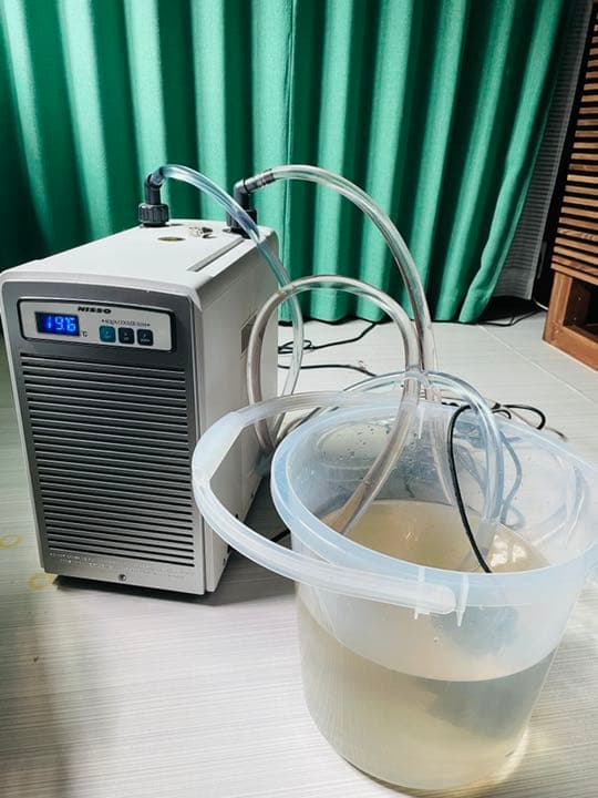 ADA PRODUCTS 進化論 「シザース・シリーズ」 | AQUA DESIGN AMANO