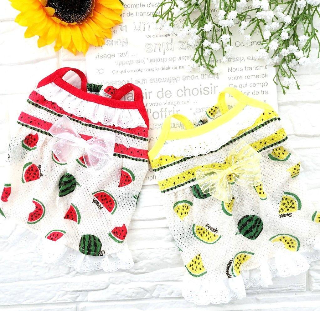 楽天市場】くま耳 帽子（ドッグウェア｜犬用品）：ペット・ペット