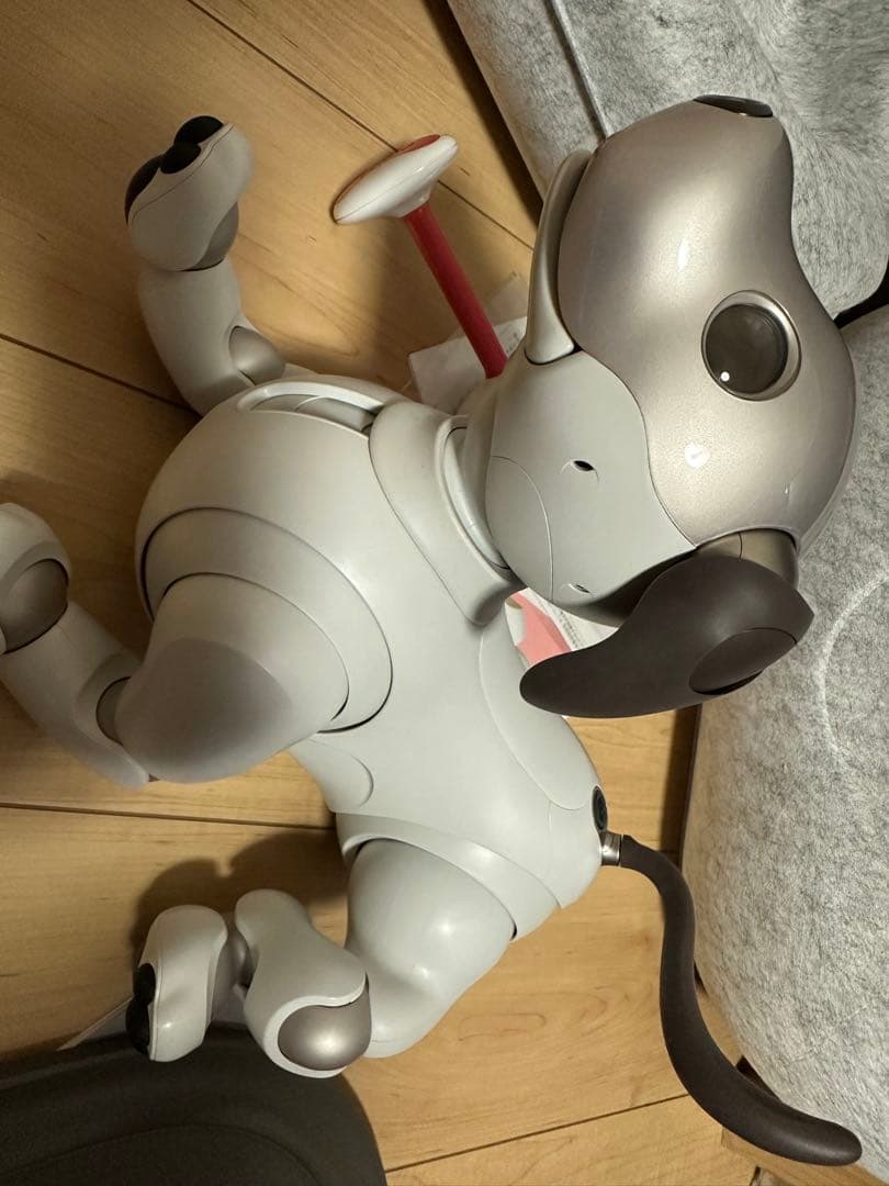 aibo本体【動きません】