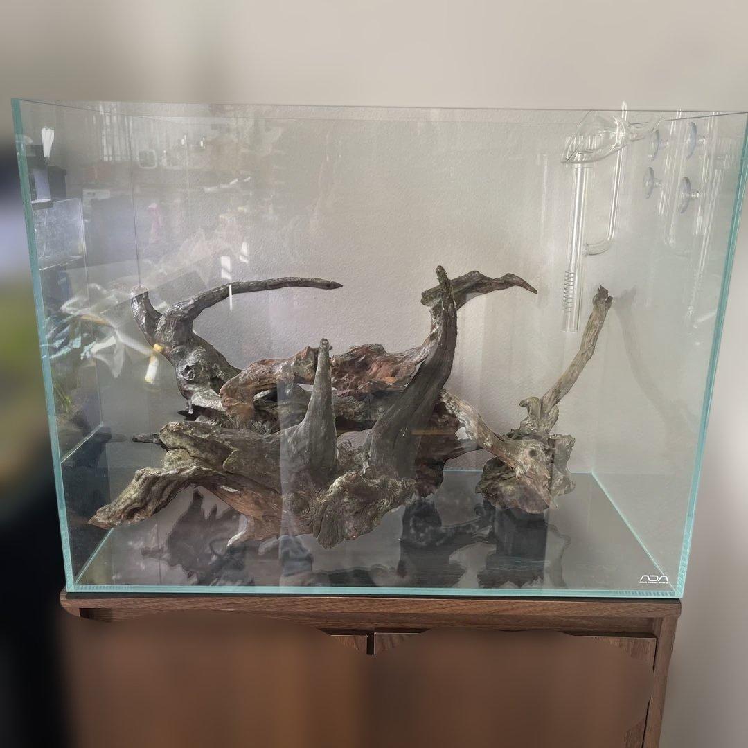 引取限定】10万以上ADA水槽、水槽台、ゼンスイviiita