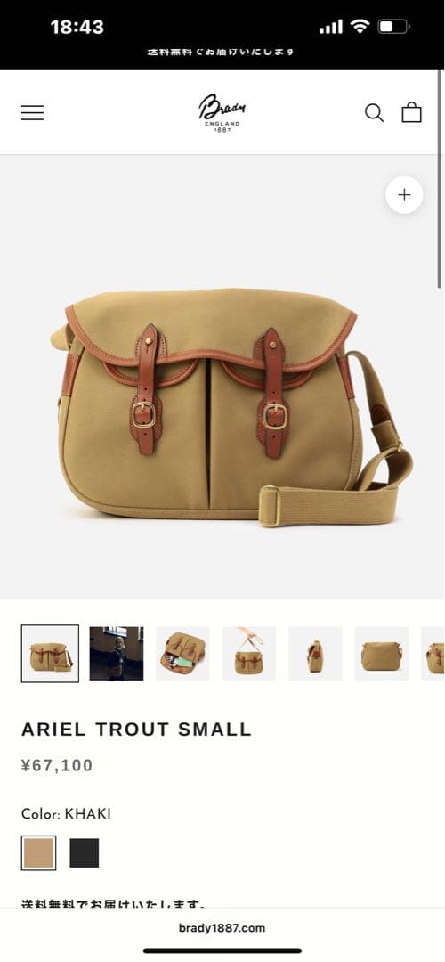 BRADY アリエルトラウト　スモール