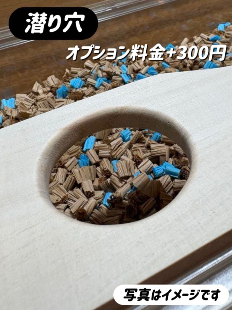 R様専用オーダーページ グラスハーモニー450カミカミ防止ロフト 階段