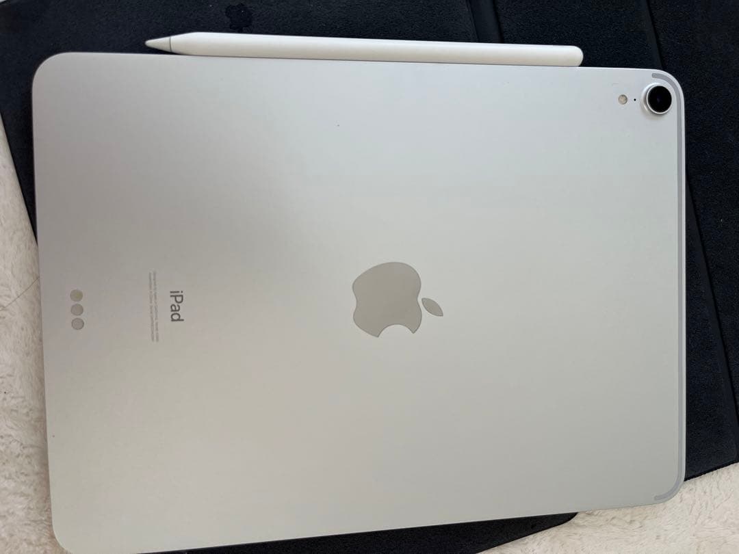 ジャンク品iPadPro第1世代 11インチ 256GB スペースグレイ www.wesports.de