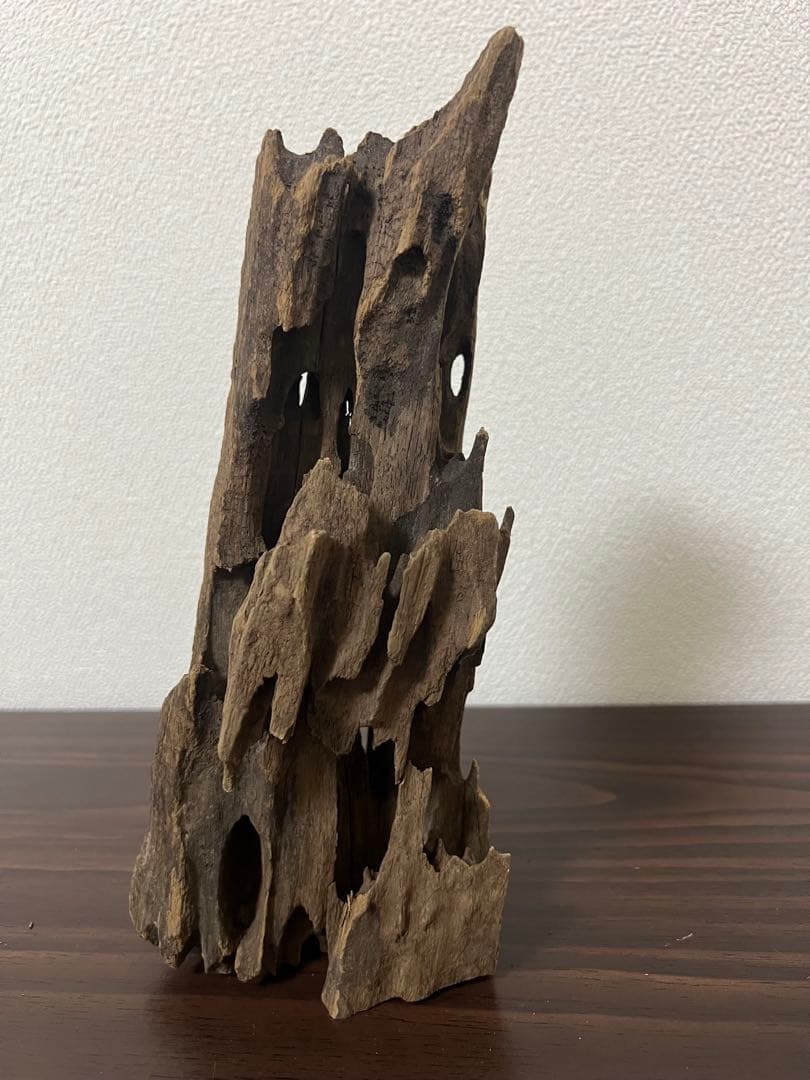 XM-510 流木 マシンガンウッド アクアリウム ブランチウッド 沈水確認