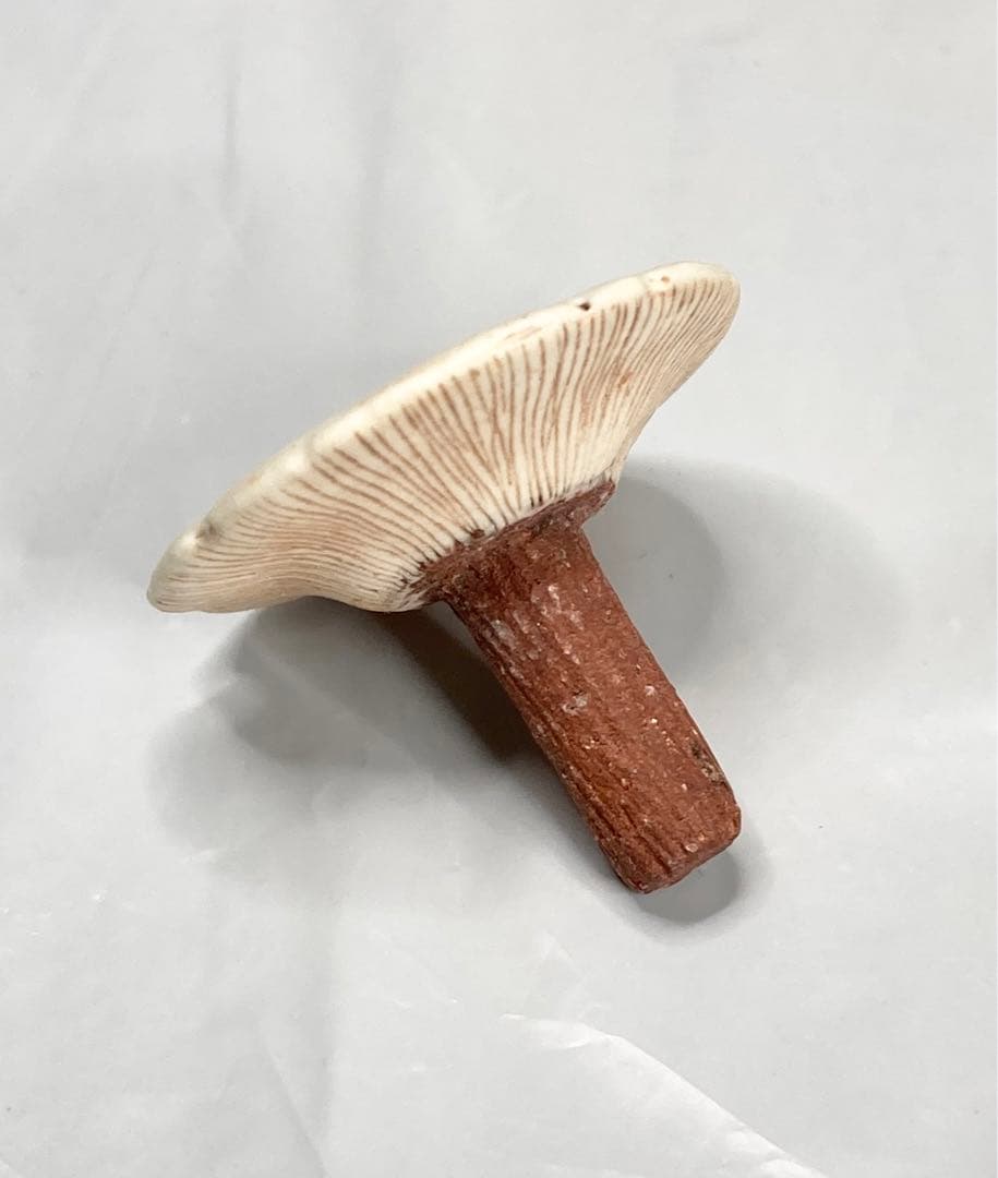 藤田匠平　陶器　香水瓶　Perfume pot アロマ　スナフジタ　フジタチサト