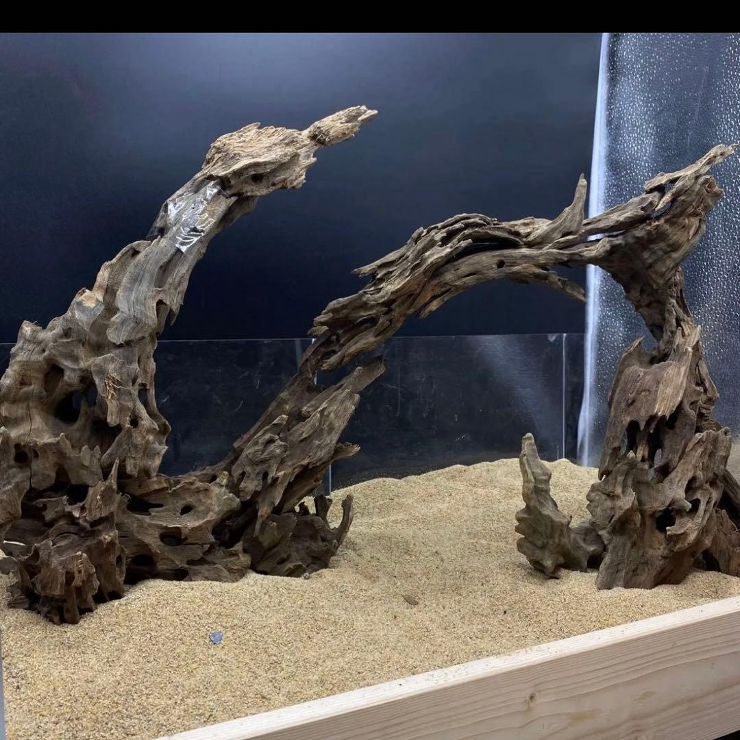 マシンガンウッドレイアウトセット 60cm水槽用 流木 - メルカリ