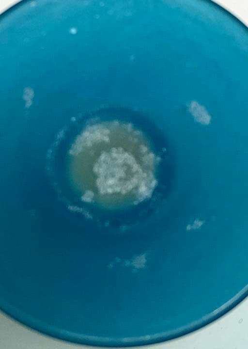 明治後期、大正ロマン コンポート 和ガラス ウランガラス