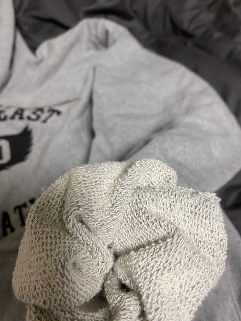 さらば青春の光 パーカー 80’s-like HOODIE【WING PAW】