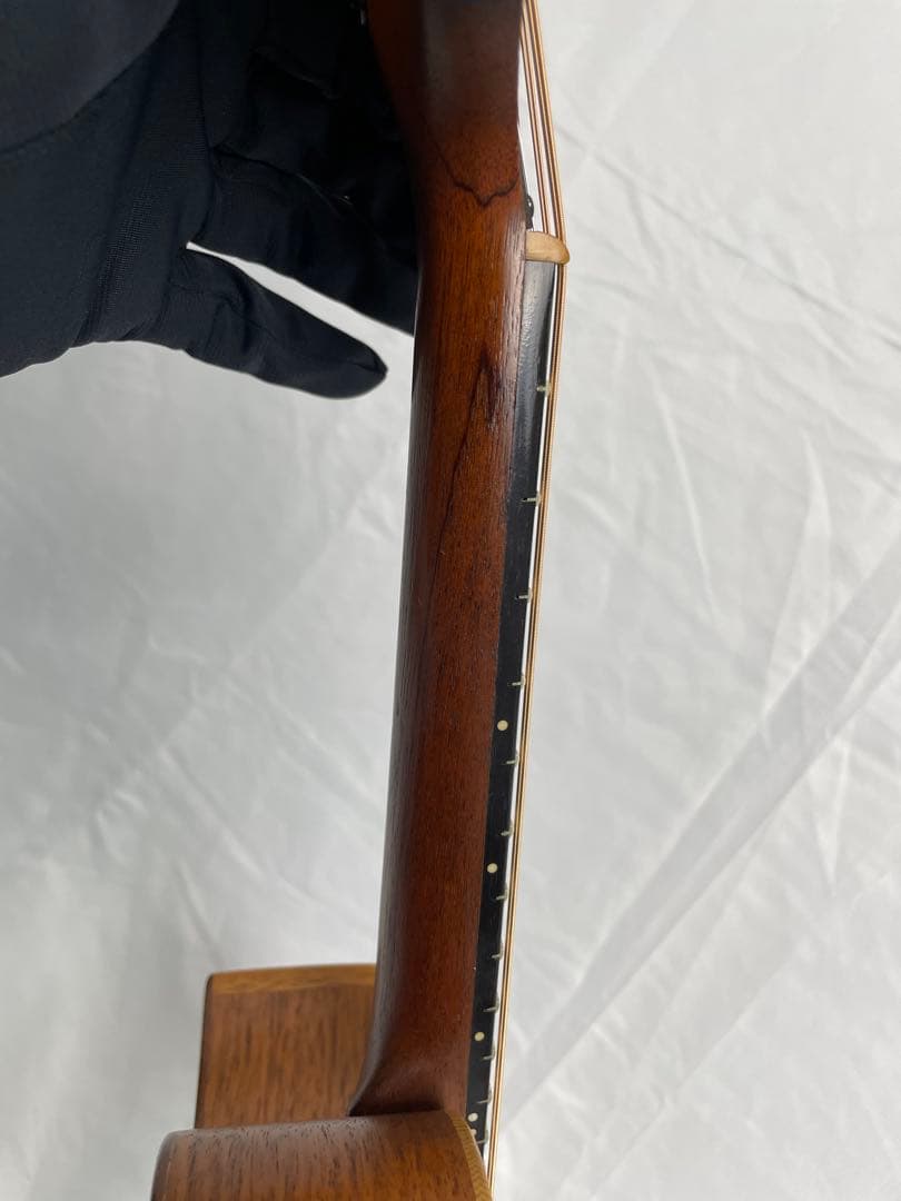 タコマ/Tacoma フラットマンドリン m-1