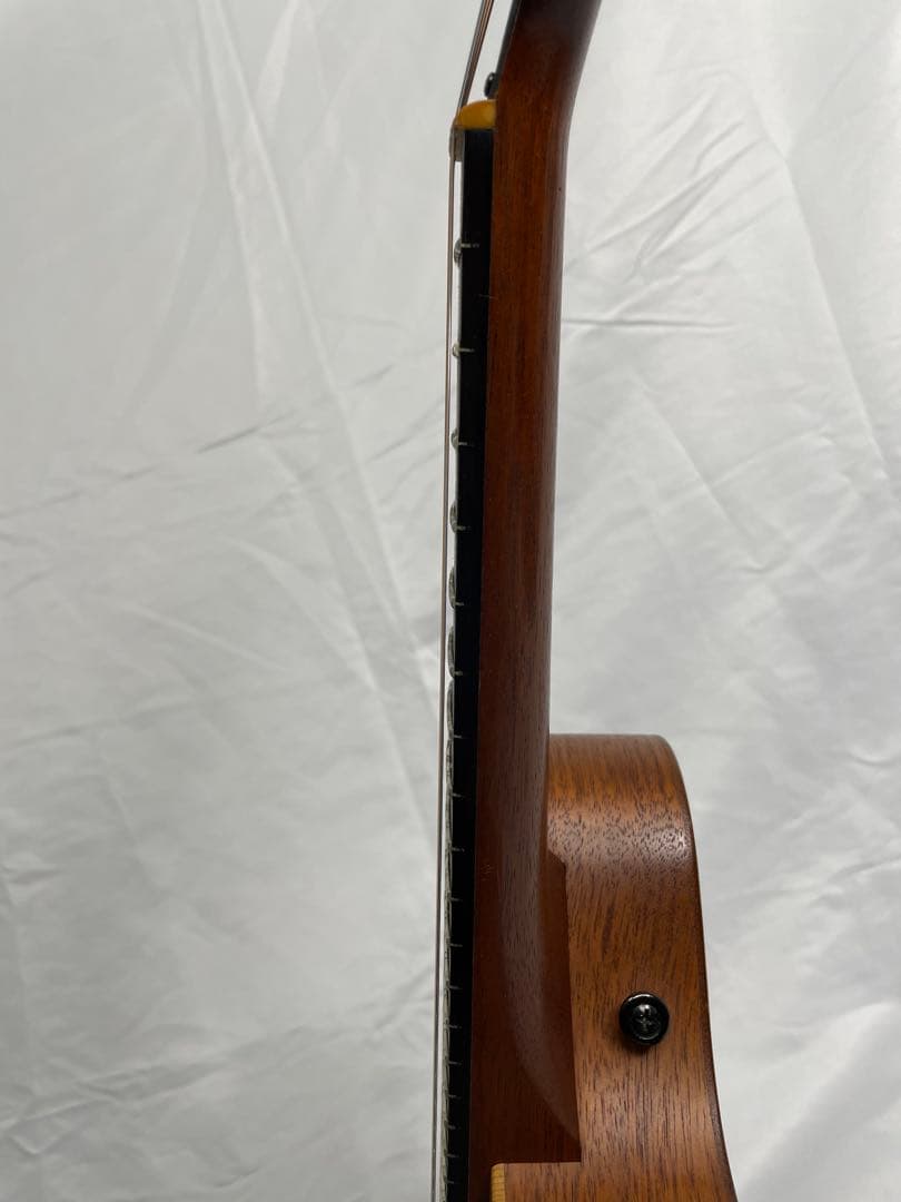 タコマ/Tacoma フラットマンドリン m-1