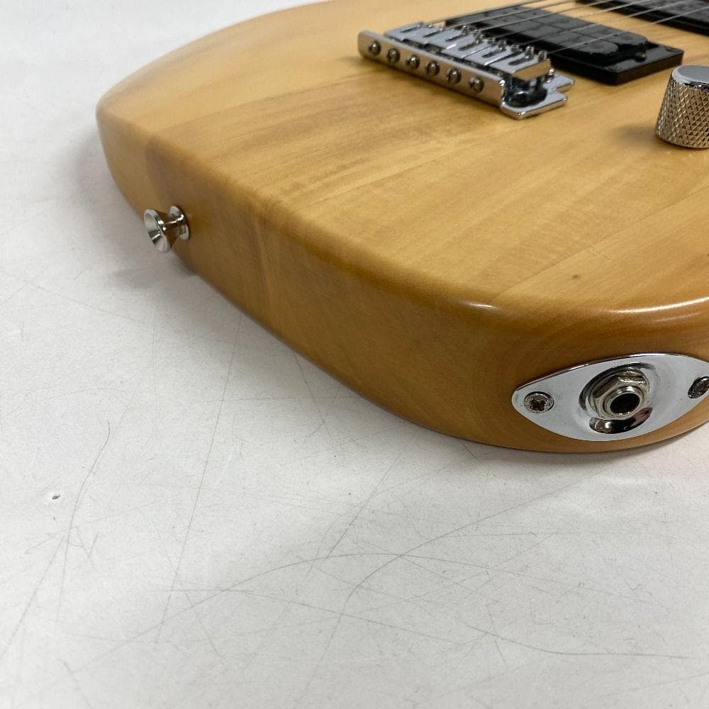 Washburn ワッシュバーン PRO エレキギター ソフトケース付き