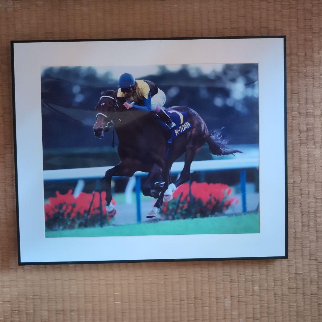 ディープインパクト菊花賞パネル